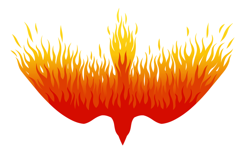 Afficher l’image source